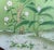 30"*72"/Panel, a Set of 5 Chinoiserie Tropical Forest Birds and Flowers on Emerald Silk Panels For Sale - Image 4 of 10