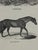 Webb & Millington, The Panorama of Horses, 1850, Engraving For Sale - Image 14 of 18