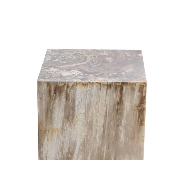 Contemporary Petrified Wood Pedestal by Xyleia Petrified Wood For Sale - Image 3 of 6