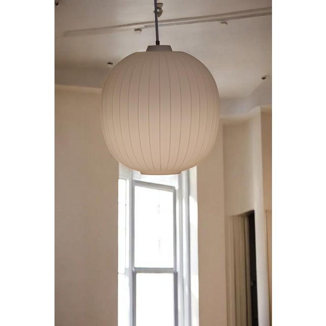 Bologna Pendant Lamp by Aloys Gangkofner for Peill & Putzler, 1950s For Sale - Image 17 of 18