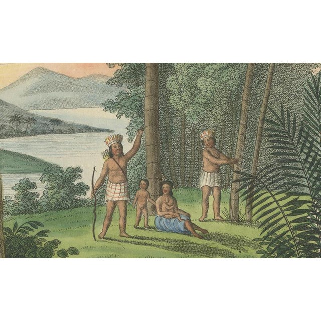 Jonathan Carl Zenker, Date Palm and Coconut Botanical Scene, 1831, Copper Engraving on Paper For Sale - Image 6 of 9