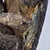 Early 20th Century Dan, Wee, Kran, Guerre Guere Mask on Stand For Sale - Image 13 of 15