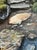 Original landscape oil painting by Steve Schaaf, capturing a peaceful misty woodland path with remarkable depth and...