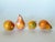 Vintage Italian Alabaster Fruits, Pears and Peaches For Sale - Image 16 of 16