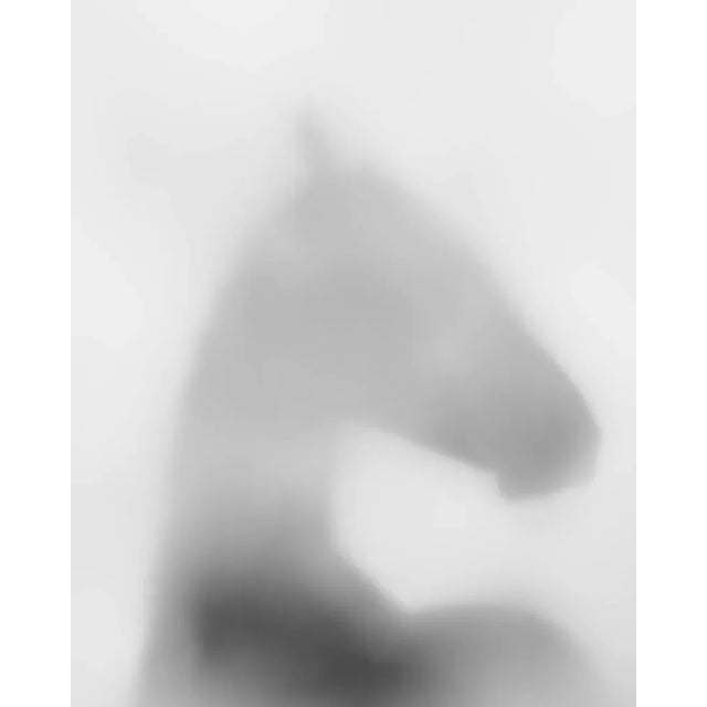 Abstract equine image created by distorting the light as the shot was taken. Unframed Equus Umbra I by Carys Jones Print,...
