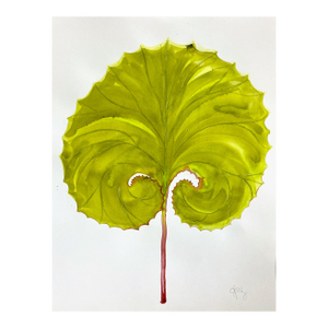 Giant Butterbur Leaf Painted in Watercolor on Heavy Paper