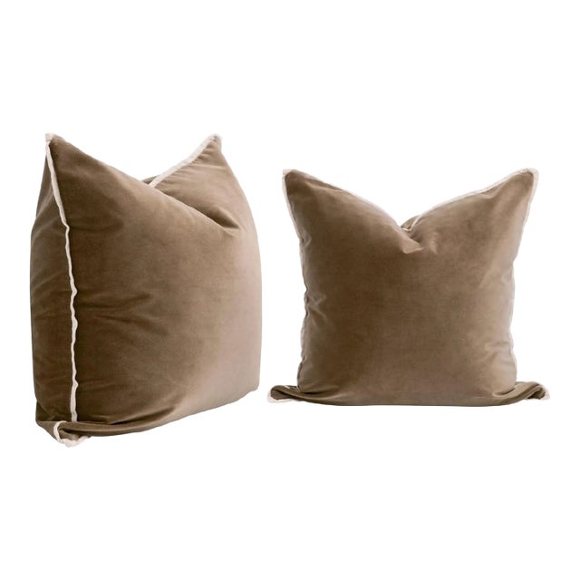 Performance Fabric Luxurious Essential Pillows- Set of 2 For Sale