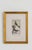 19th Century 19th Century Set of Framed Avian / Bird Engravings For Sale - Image 5 of 11