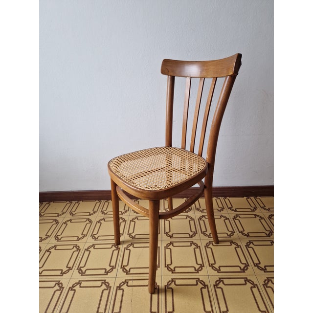 Vintage Chair by Michael Thonet, 1919 For Sale - Image 13 of 15