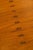 Brown Mid-Century Modern Table in Teak, 1950s For Sale - Image 8 of 11