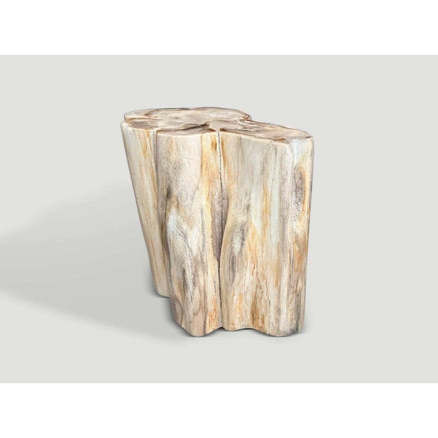 "Beautiful rare tones and shape on this high quality petrified wood side table. It’s fascinating how Mother Nature...