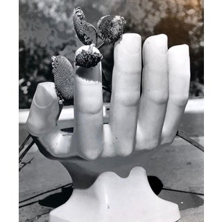 Naomi Savage, Photo Of Pedro Friedeberg Hand Chair Vintage Silver Gelatin Photograph, 1981 For Sale