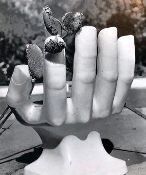 Naomi Savage, Photo Of Pedro Friedeberg Hand Chair Vintage Silver Gelatin Photograph, 1981
