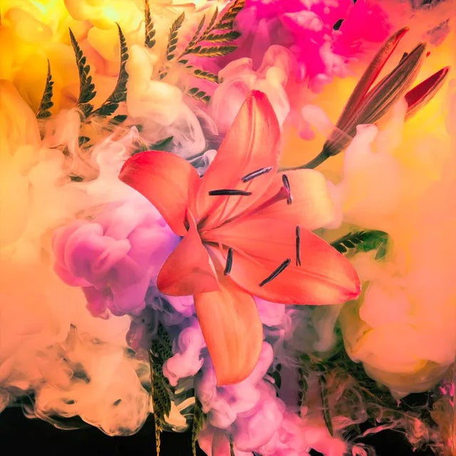 The Miami by Javiera Estrada Print, 30" x 30" For Sale