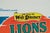 Paper Disney Lions d'Afrique Film Poster For Sale - Image 7 of 9