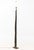 Petrified Wood Floor Lamp, mounted on rectangular iron base. 84.5" H x 10.75" W x 7" D. Provenance: From a One Central...