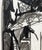 This beautiful vintage abstract drawing of an animal, rendered on paper, showcases energetic and abstracted strokes and...