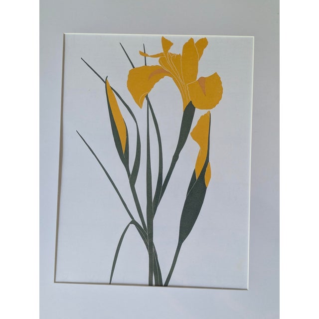 Henry Evans Botanical Linocut Prints Framed- Set of 4 For Sale - Image 11 of 17
