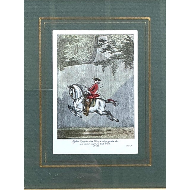Vintage Equestrian Engravings in Gilt Frames - Set of 6 For Sale - Image 12 of 13