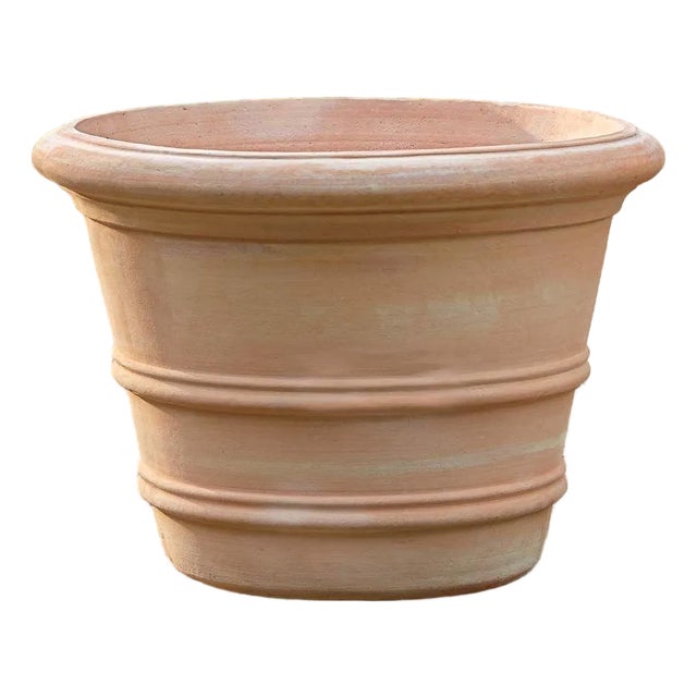Classic Double Rolled Rim Terra Cotta Planter For Sale