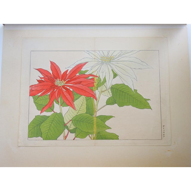 Japanese Early 20th Century Tanigami Konan Poinsettia Japanese Woodblock Print For Sale - Image 3 of 6