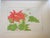 Japanese Early 20th Century Tanigami Konan Poinsettia Japanese Woodblock Print For Sale - Image 3 of 6