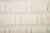 Raised Organic Embossed Hand-Knotted Wool Rug | 11'2" X 6'11" | One of a Kind For Sale - Image 9 of 10