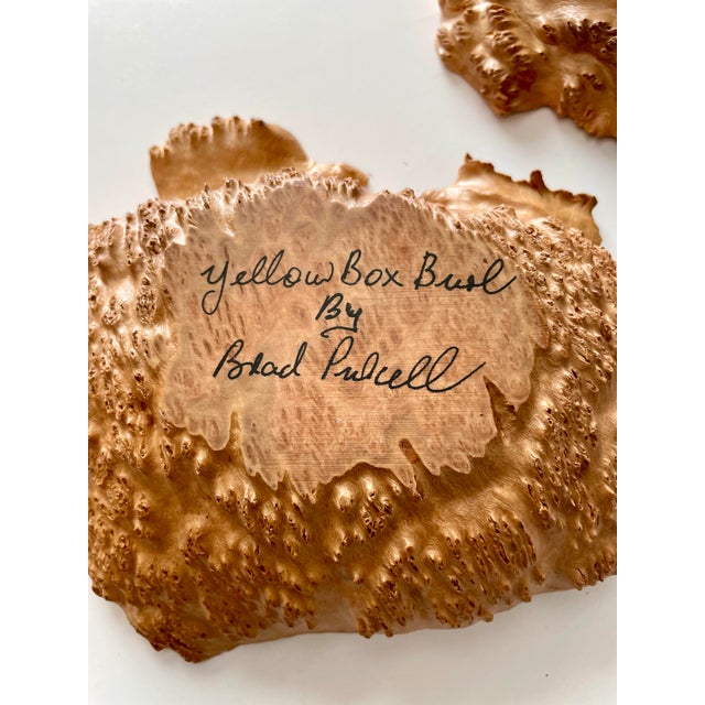 Apricot Australian Eucalyptus Burl Wood Bowls Brutalism Style, a Pair For Sale - Image 8 of 12