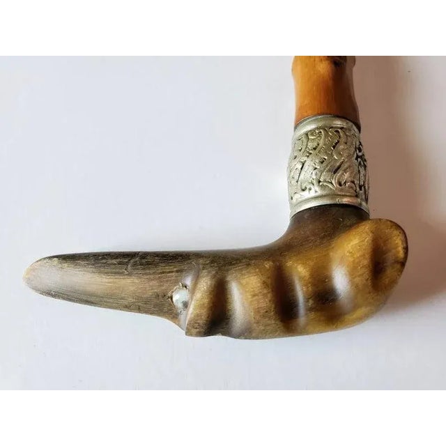 Early 20th Century Hand Carved Italian Greyhound Walking Cane For Sale In Dallas - Image 6 of 11