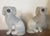 Pair 19th century English Staffordshire pearlware poodles with heavily applied vermicelli or sieved clay ears, tails and...