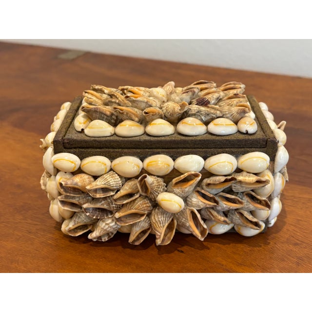 Vintage Palm Beach Style Rectangular Encrusted Shell Box in Neutral Palette For Sale - Image 12 of 18