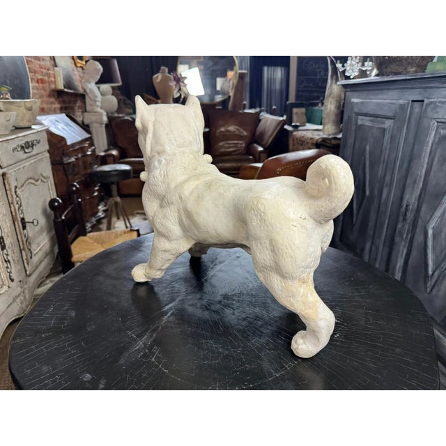 Antique French Bulldog Sculpture | Early 20th Century Plaster & Metal Figure, Circa 1910–1920 For Sale - Image 6 of 12