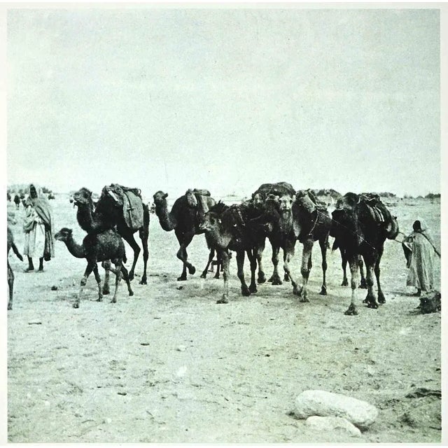 Tunisian Camels is an original photolithograph realized in the 1990s by the Italian politician Bettino Craxi after A....