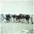 Tunisian Camels is an original photolithograph realized in the 1990s by the Italian politician Bettino Craxi after A....