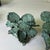 1990s Bronze Flowers in Triangular Pots With Feet. For Sale - Image 4 of 11