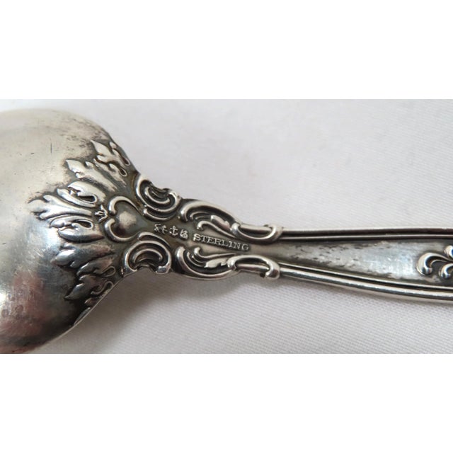 Antique Gorham Silver Co. Chantilly Pattern Sterling Silver Youth - Baby Spoon For Sale - Image 9 of 13