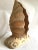 1950s 1950s Italian Carved Wood Folded Leaf Sculpture on Wood Base For Sale - Image 5 of 11