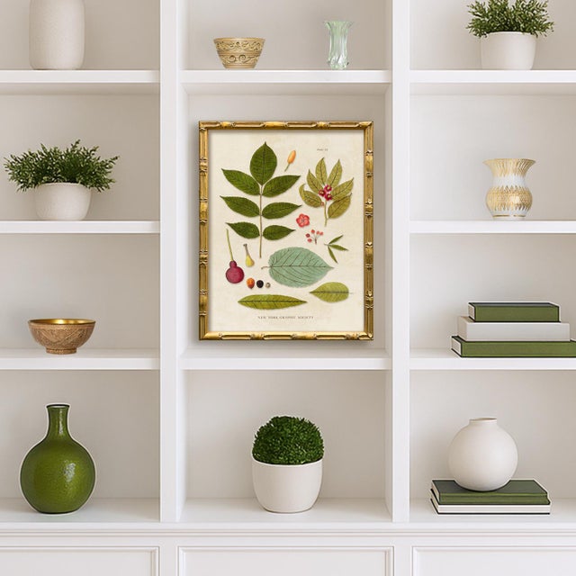 Contemporary Reproduction (Set of All 4) Vintage Botanical Leaves Art Prints, Framed For Sale In New York - Image 6 of 9