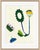 Contemporary Floral Set by Susan Hable For Sale - Image 3 of 4