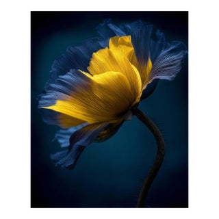 Botanical 50 Limited Edition For Sale