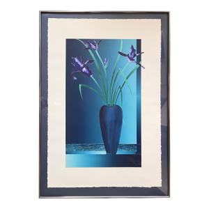 Daniel Joshua Goldstein Irises In Vase - Still Life 1983 Collage