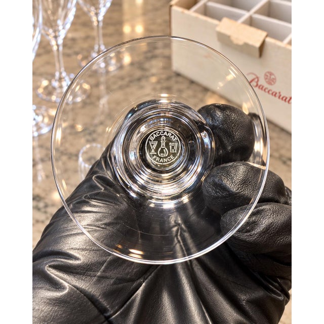 Traditional Baccarat Crystal Champagne Glasses – Set of 12 with 2 boxes For Sale - Image 3 of 6