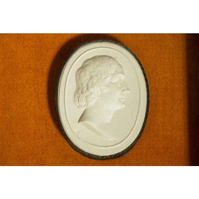 Brown Fabulous Collection Antique Grand Tour Plaster Intaglios, Set of 4 Framed Neoclassical Cameo Reliefs, 19th Century Classical Art Home Decor For Sale - Image 8 of 14