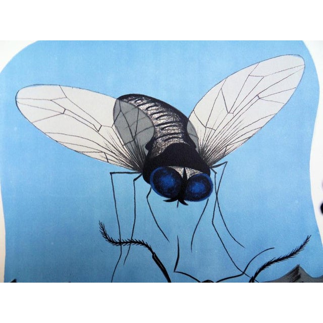 Félix LABISSE The fly and the ant Original lithograph On pure Lana thread Vellum paper Signed in the plate Dimensions 38 x...