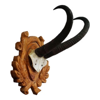 Large Chamois Trophy on Carved Plaque, Austria 1940s For Sale