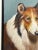 Art Deco British Oil Painting Scottish Highland Brown & White Rough Collie Dogs Follower Benedict Angell Hyla For Sale - Image 3 of 12