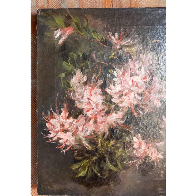 Late 19th Century 19th Century American Impressionist Floral Study of Azalea, Signed Minet For Sale - Image 5 of 18