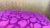 Purple Cut Velvet Lumbar Cushion Cover For Sale - Image 4 of 8