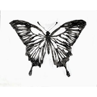 Original Signed Black and White Butterfly Painting on Paper by Wren Meyers For Sale