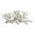 Natural White Branch Coral Specimen Coastal Home Decor For Sale